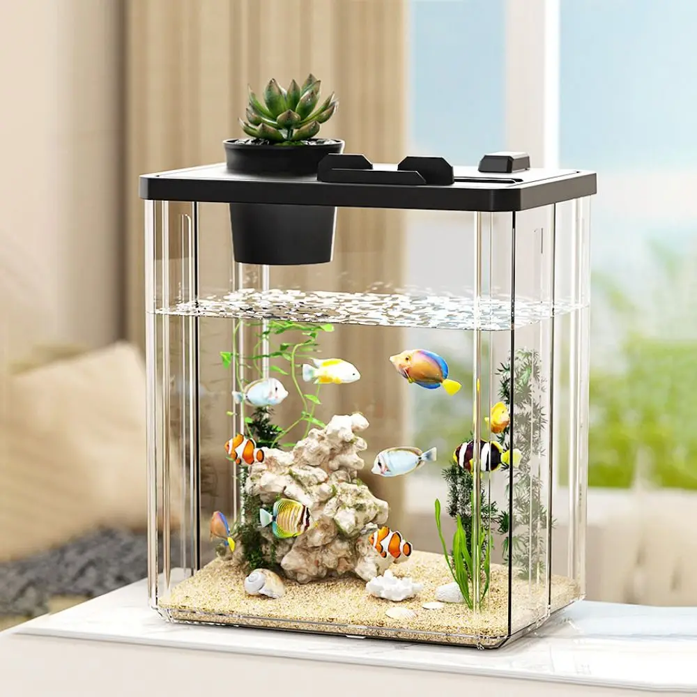 Aquarium Fish In Bowl - Acquario da Tavolo con Pompa d'Acqua,