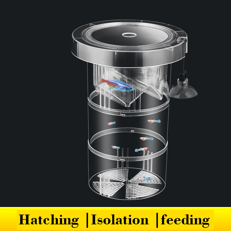 Aquarium Fish Accessories - Scatola di isolamento per allevamento di