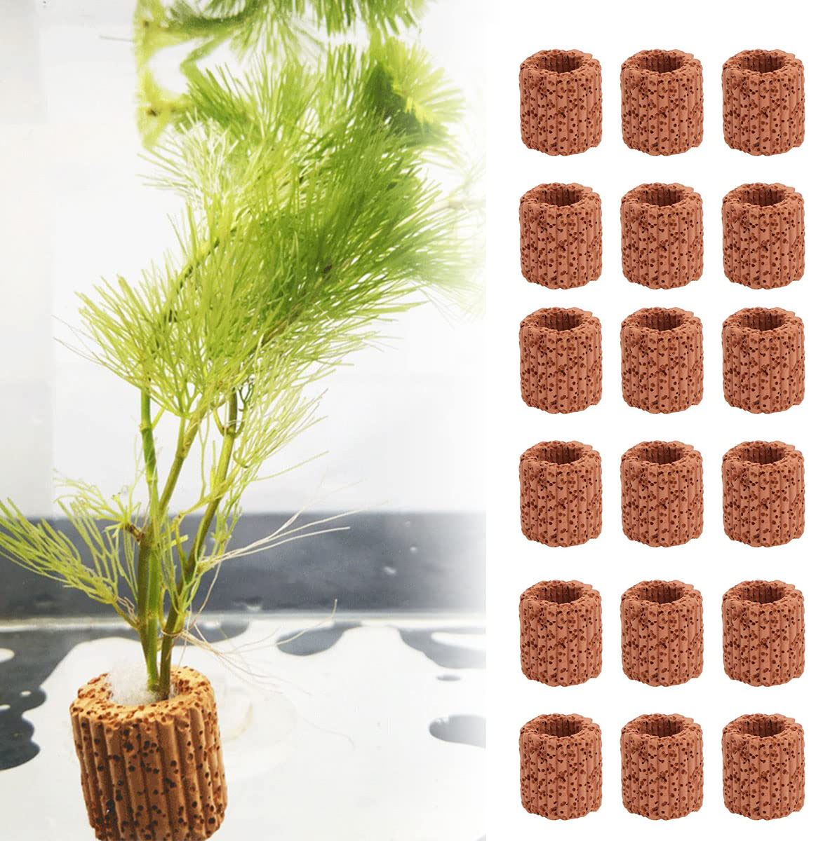 Aquarium Fish Cartoon - 10/20Pcs Base ad anello fisso per