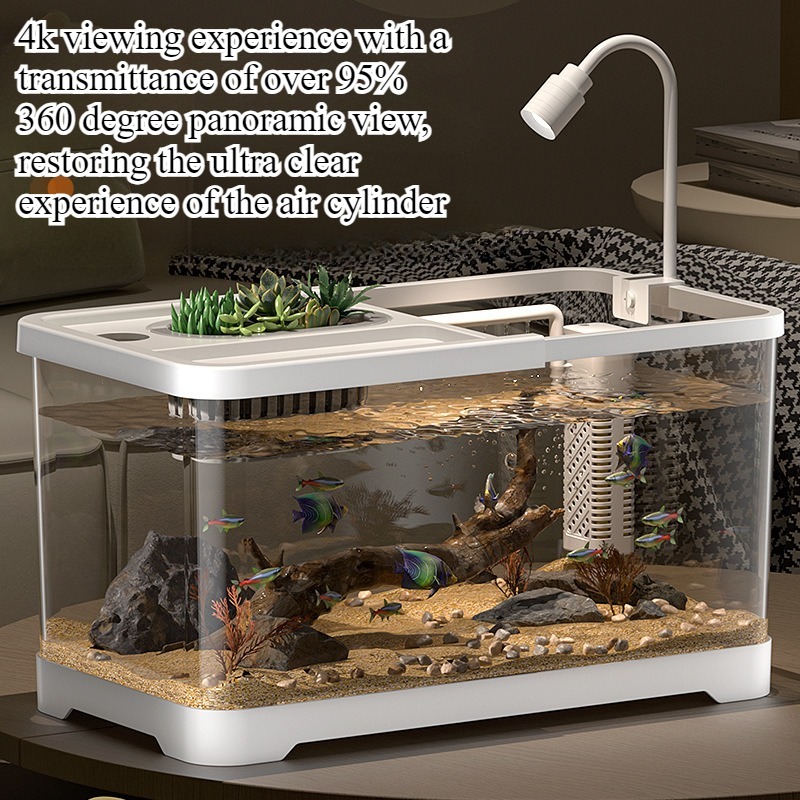 Live Fish Aquarium - Acquario domestico da soggiorno, vasca ecologica