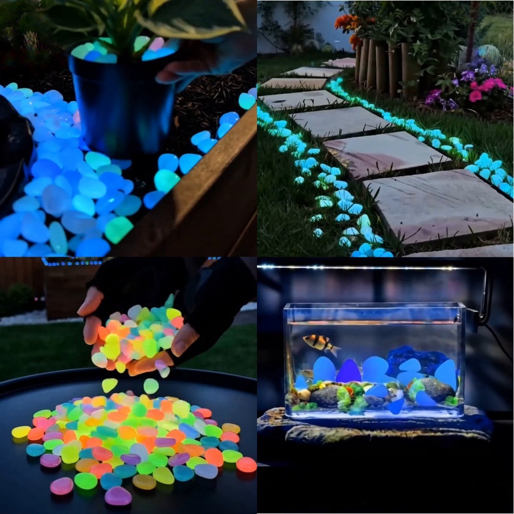 Aquarium Fish Cartoon - Ciottoli luminosi colorati che si illuminano