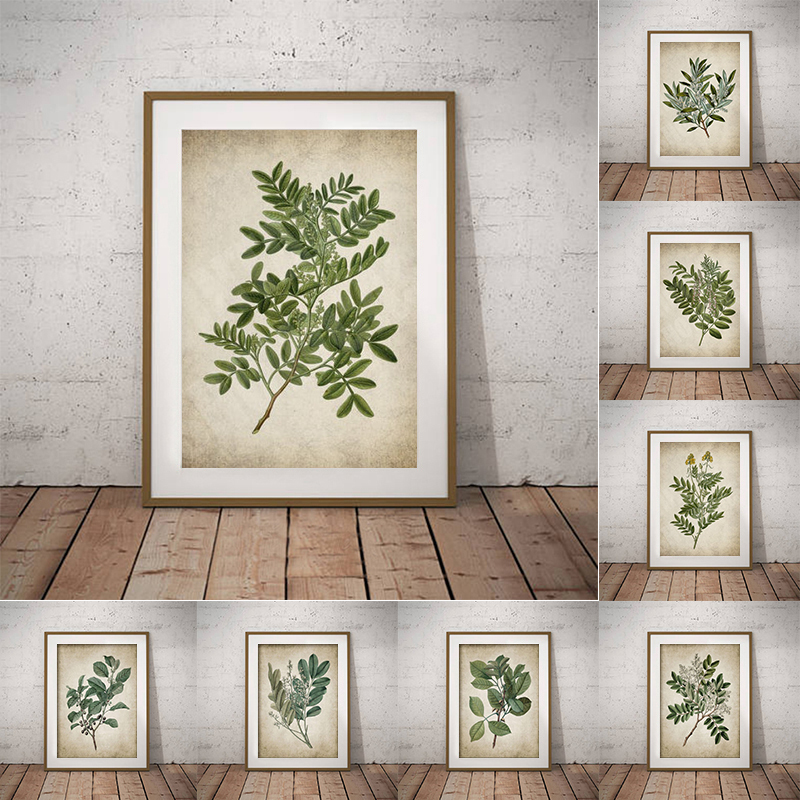 Live Plant Fertilizer - Vintage Green Leaf Botanical Poster Stampa