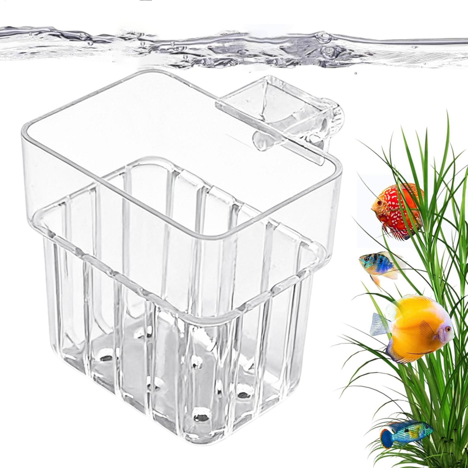 Aquarium Fish Quarantine - Supporto Trasparente per Piante Acquatiche da