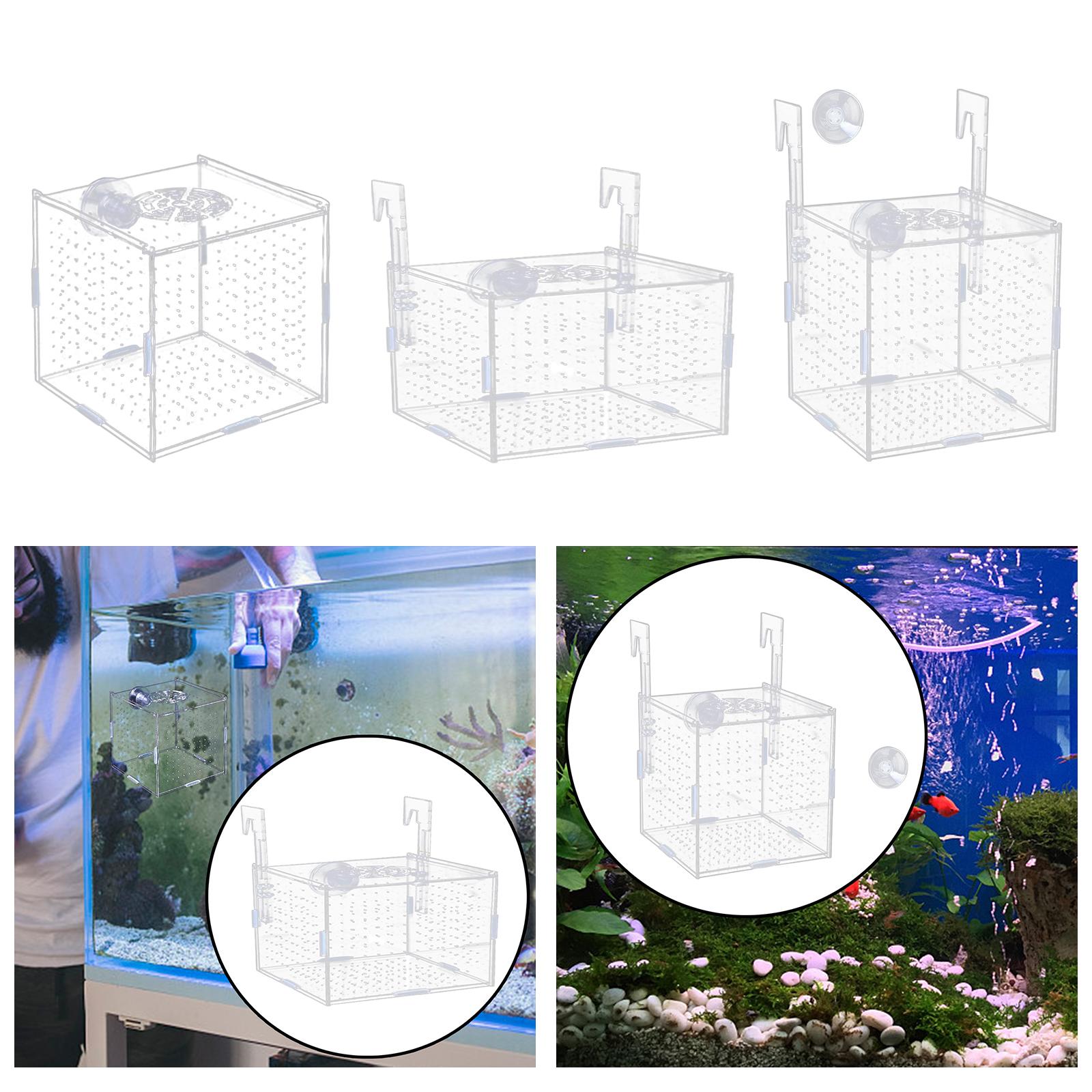Aquarium Fish In Bowl - Scatola di Isolamento per Acquario, Incubatoio