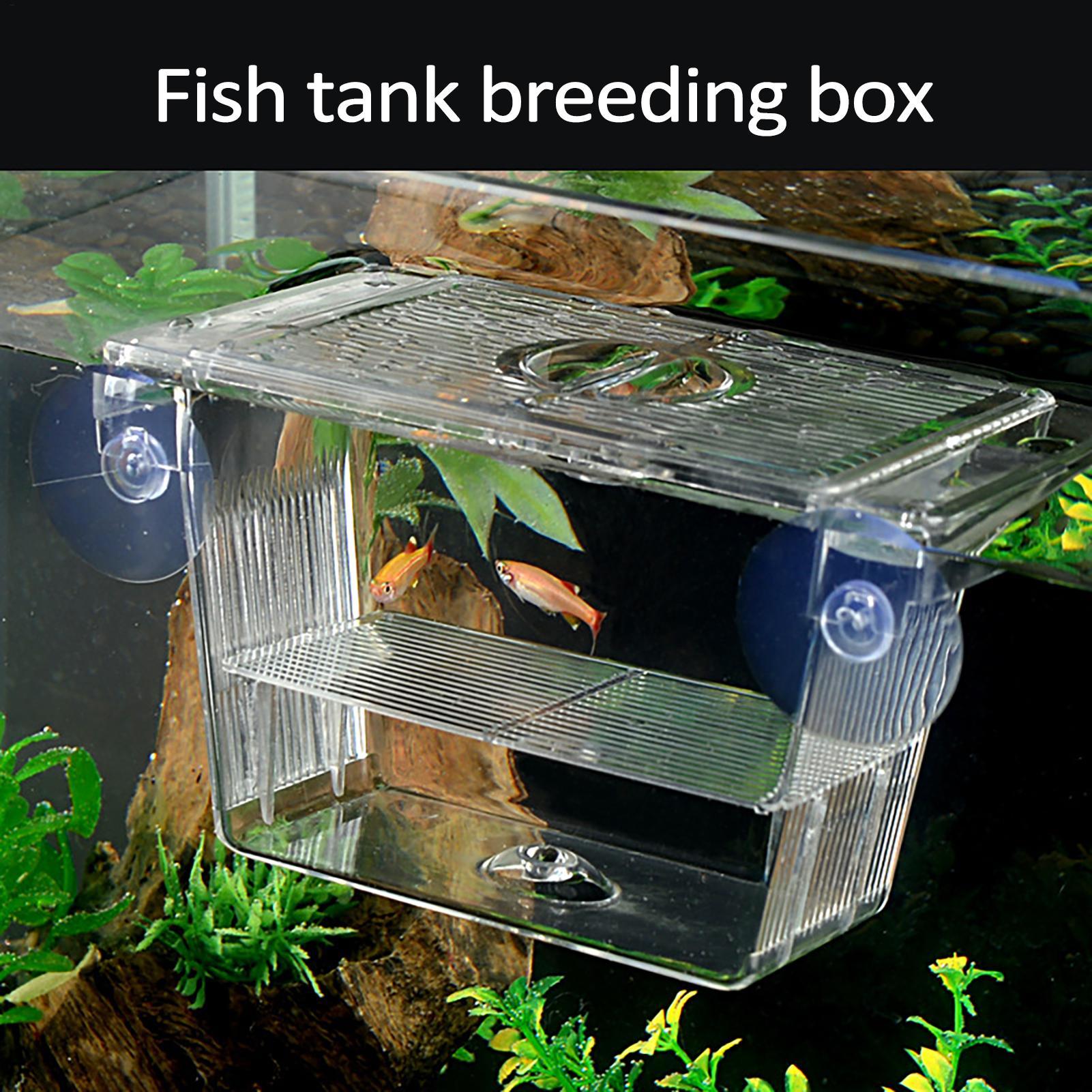 Aquarium Fish In Bowl - Box per Allevamento Pesci, Scatola Trasparente