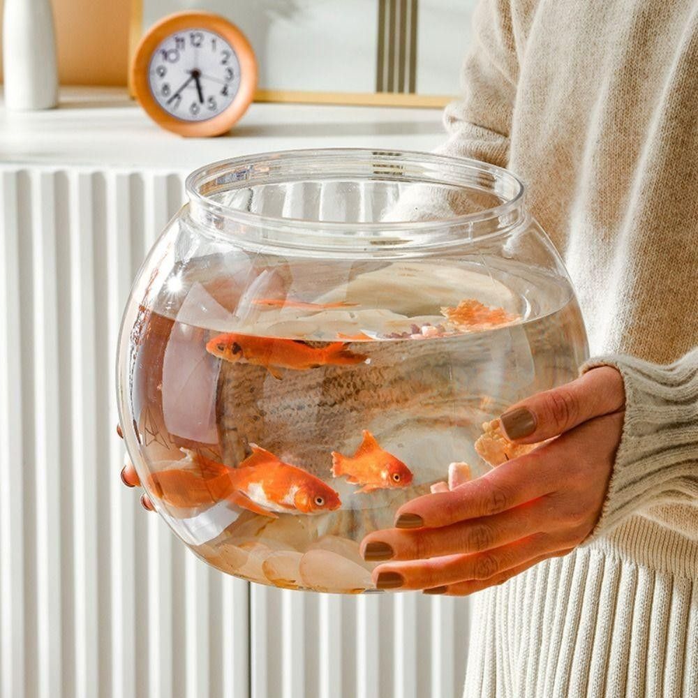 Live Fish Aquarium - Nuovo acquario trasparente rotondo infrangibile acquario