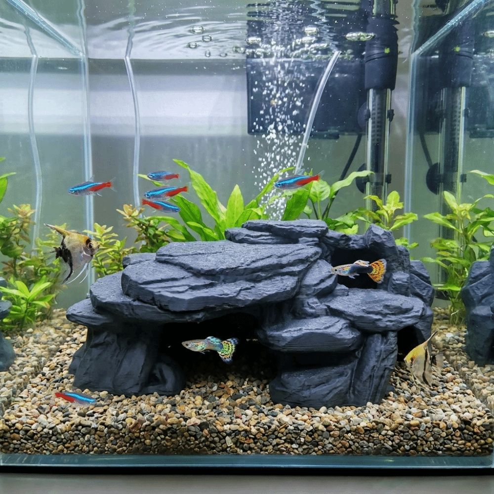 Ornamenti per Acquario Stampat - Aquarium Fish Games recensione e prezzo