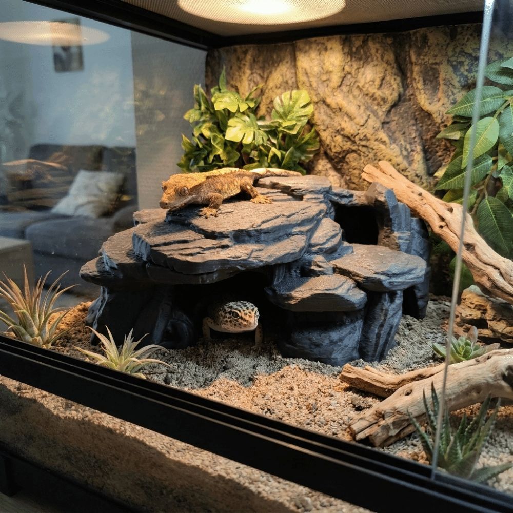 Ornamenti per Acquario Stampat - Aquarium Fish Games recensione e prezzo
