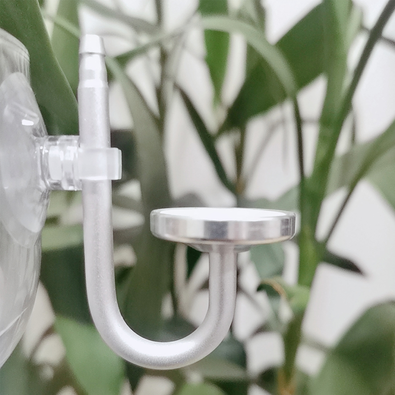 Atomizzatore CO2 per Acquario  - Aquarium Fish Quarantine recensione e prezzo