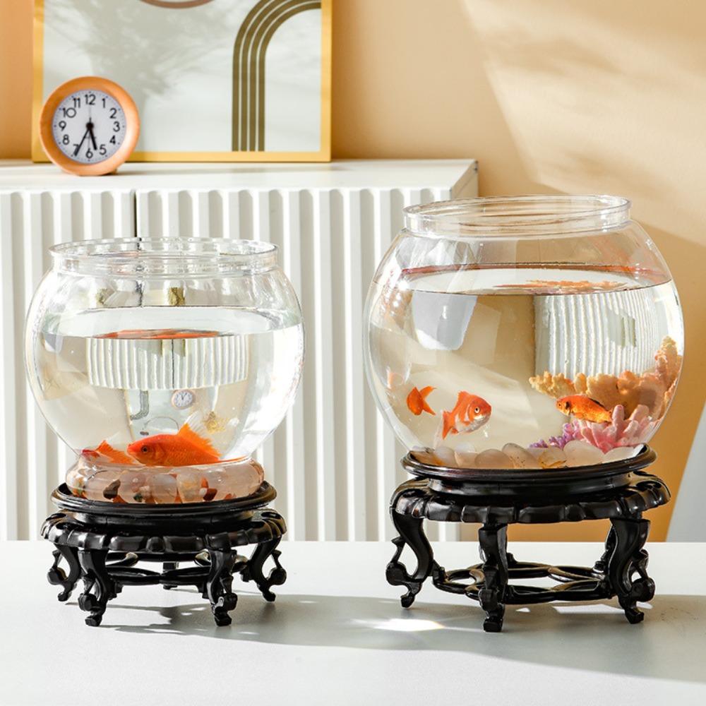 Acquario da tavolo rotondo tra - Live Fish Aquarium recensione e prezzo