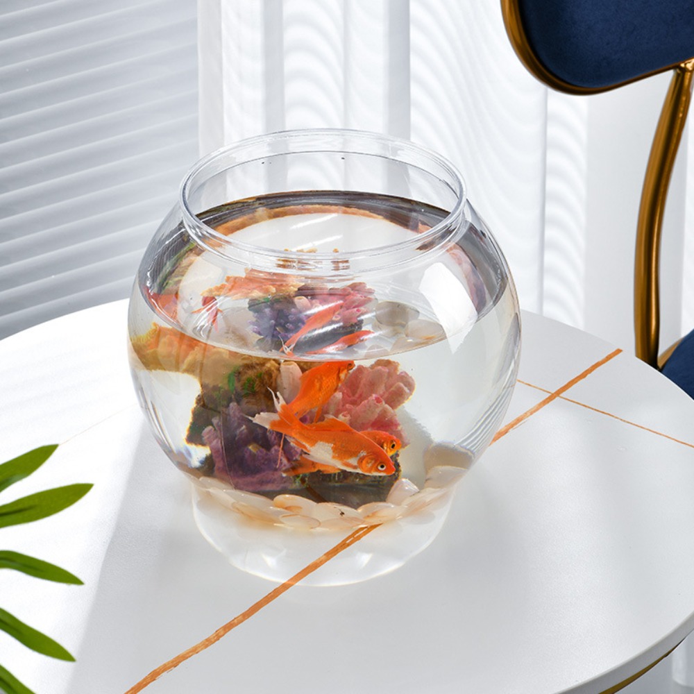 Acquario da tavolo rotondo tra - Live Fish Aquarium recensione e prezzo