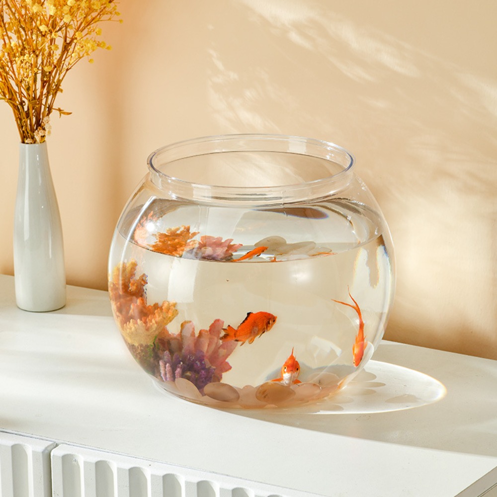 Acquario da tavolo rotondo tra - Live Fish Aquarium recensione e prezzo
