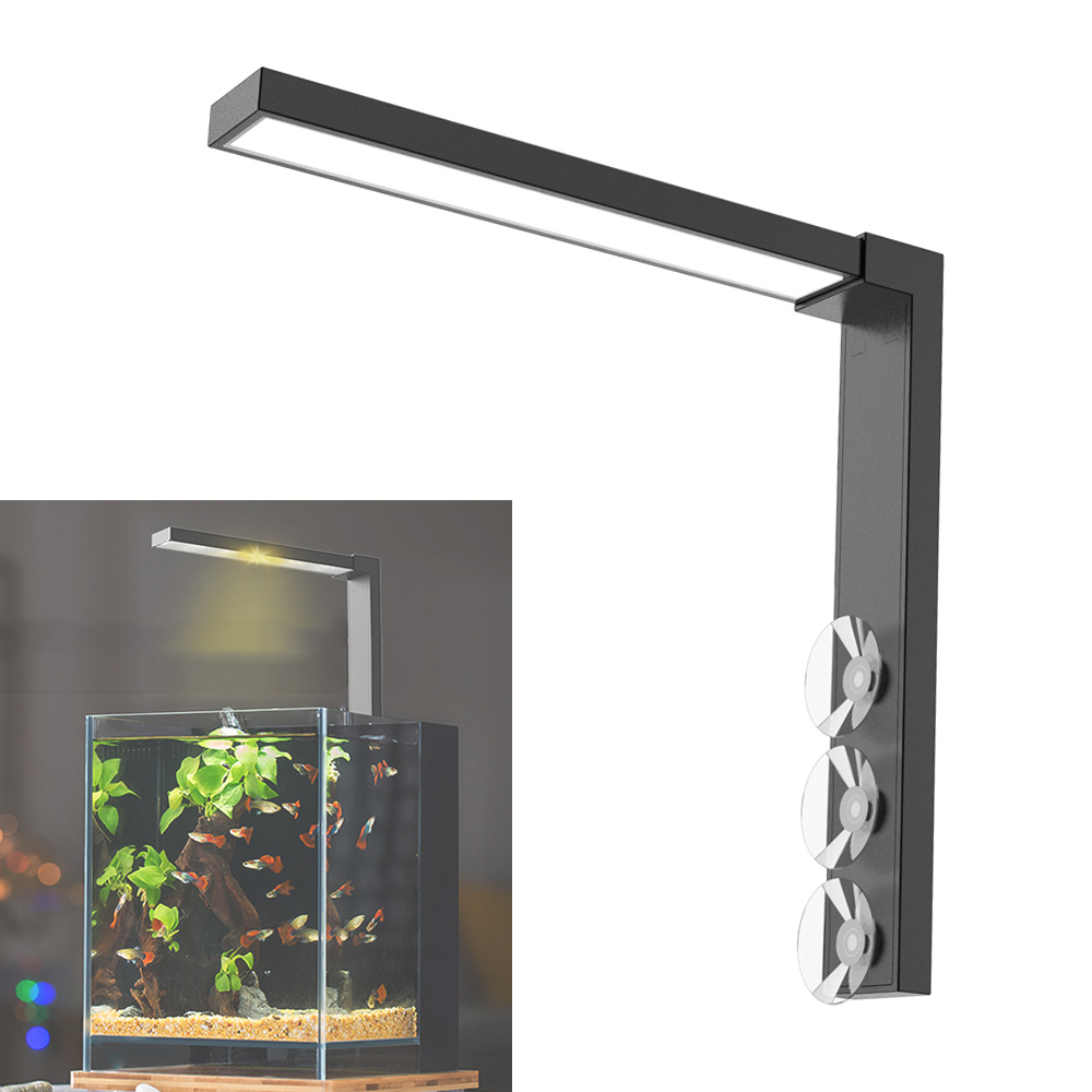 ABS Piccola ciotola per pesci  - Aquarium Fish In Bowl recensione e prezzo