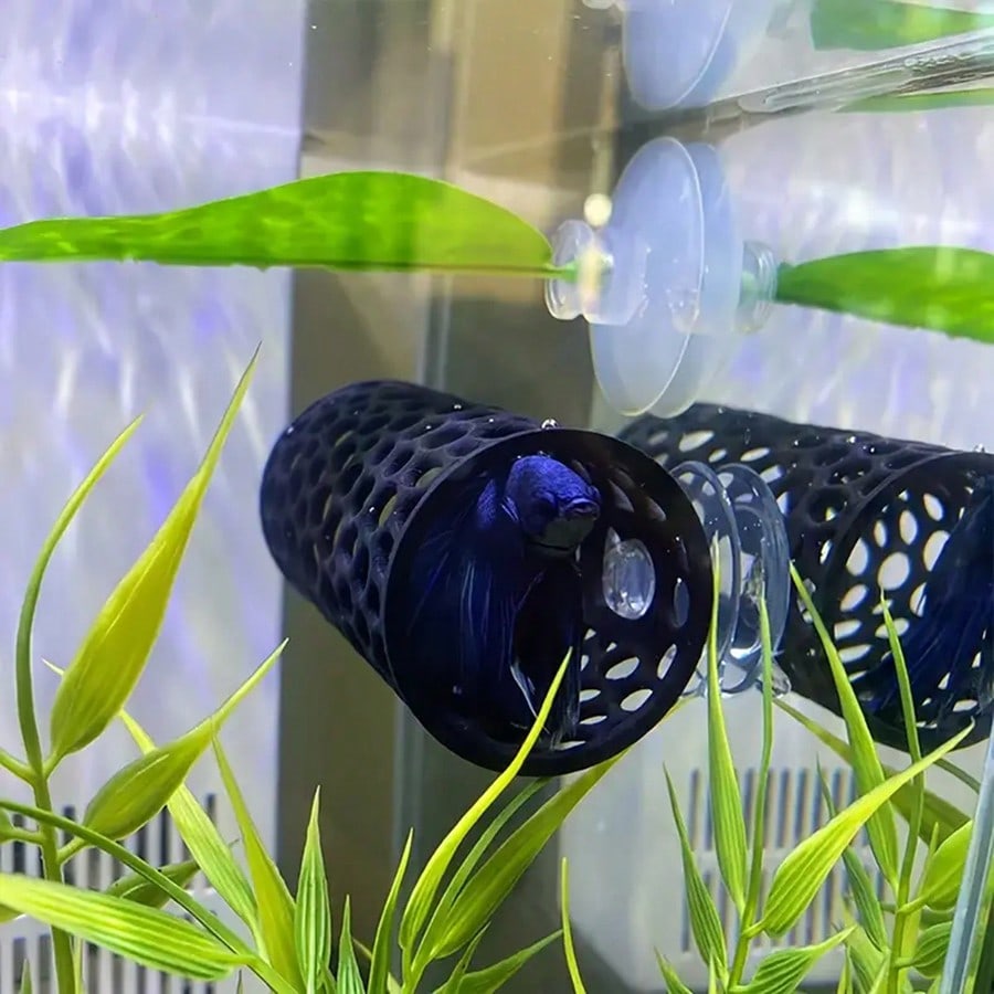 Nascondiglio per pesci d'acqua - Aquarium Fish Games recensione e prezzo