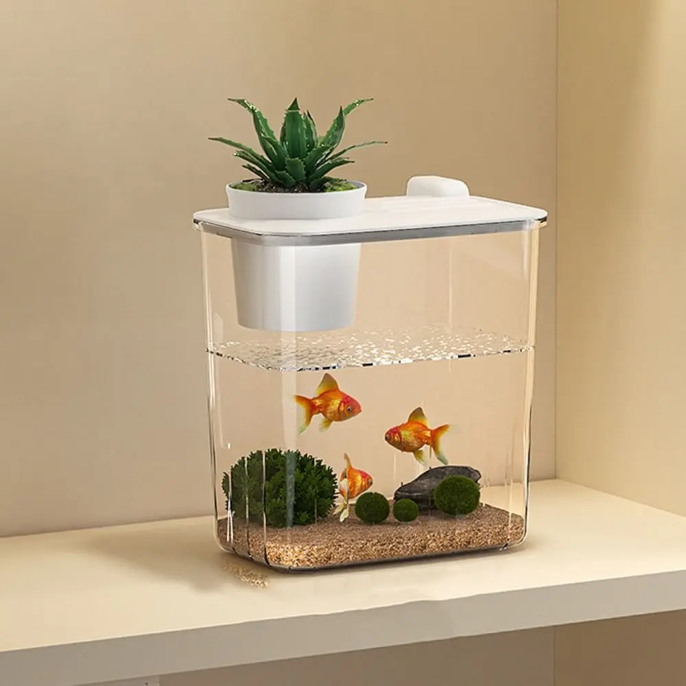 Acquario da Tavolo con Pompa d - Aquarium Fish In Bowl recensione e prezzo