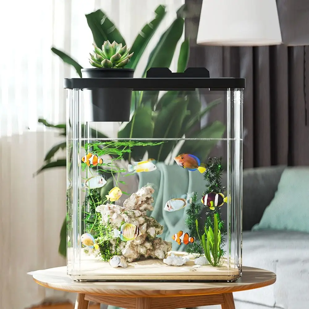 Acquario da Tavolo con Pompa d - Aquarium Fish In Bowl recensione e prezzo