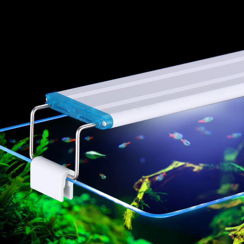 Clip impermeabile estensibile  - Aquarium Fish Quarantine recensione e prezzo