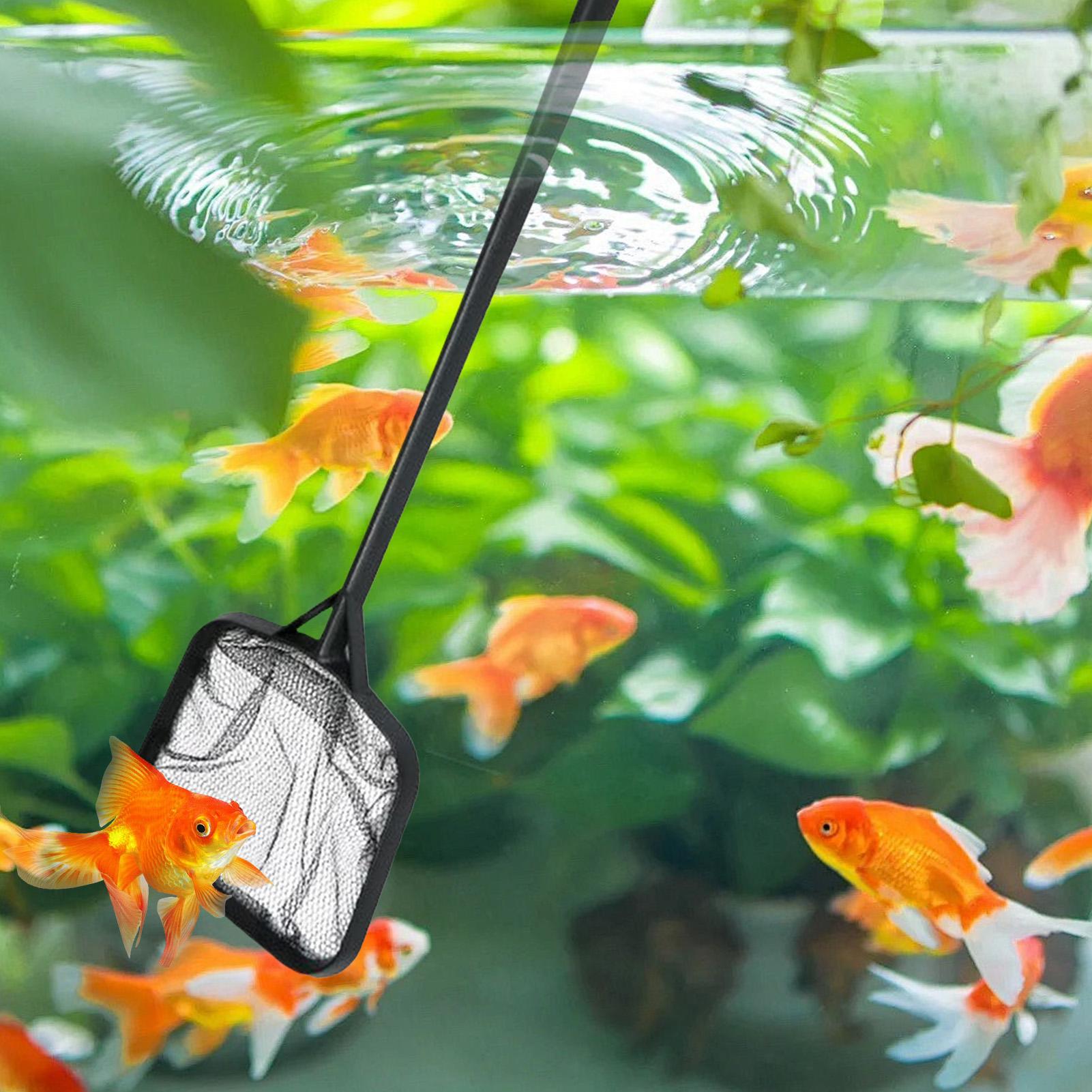 Reti per la Pulizia della Pisc - Aquarium Fish Net recensione e prezzo