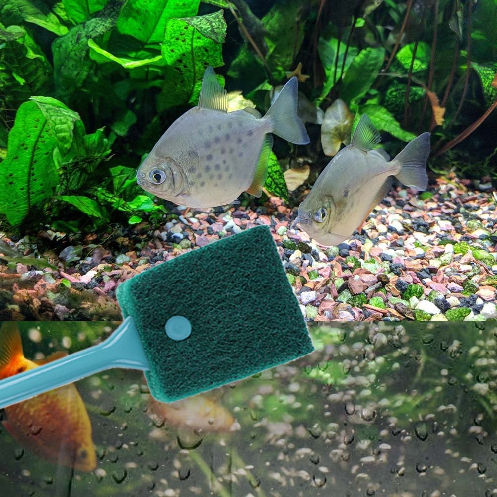 Spazzola per Pulizia Acquario  - Aquarium Fish Accessories recensione e prezzo
