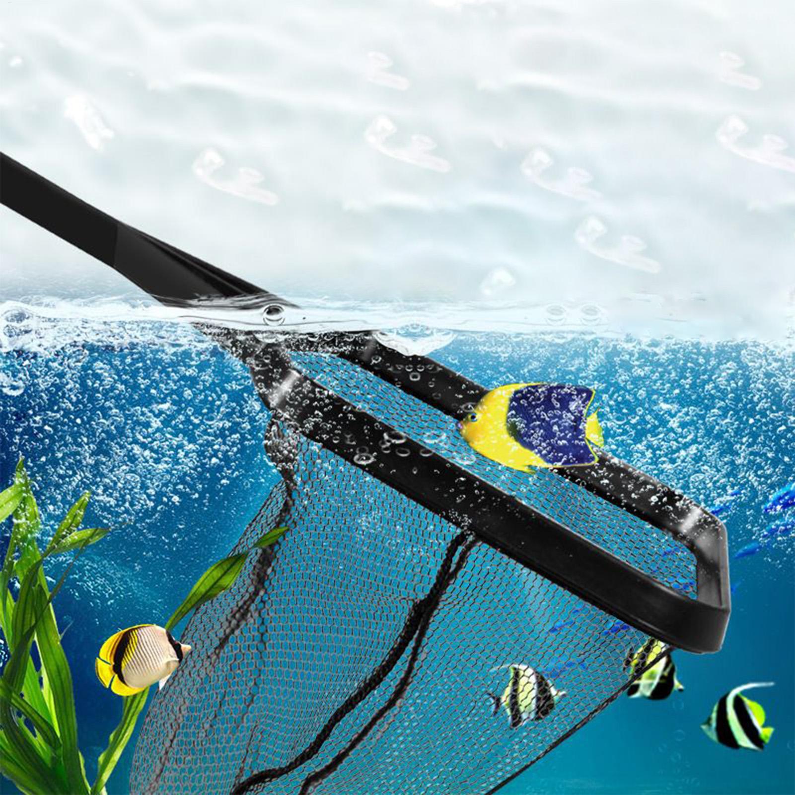 Rete per piscina Rete di salva - Aquarium Fish Net recensione e prezzo