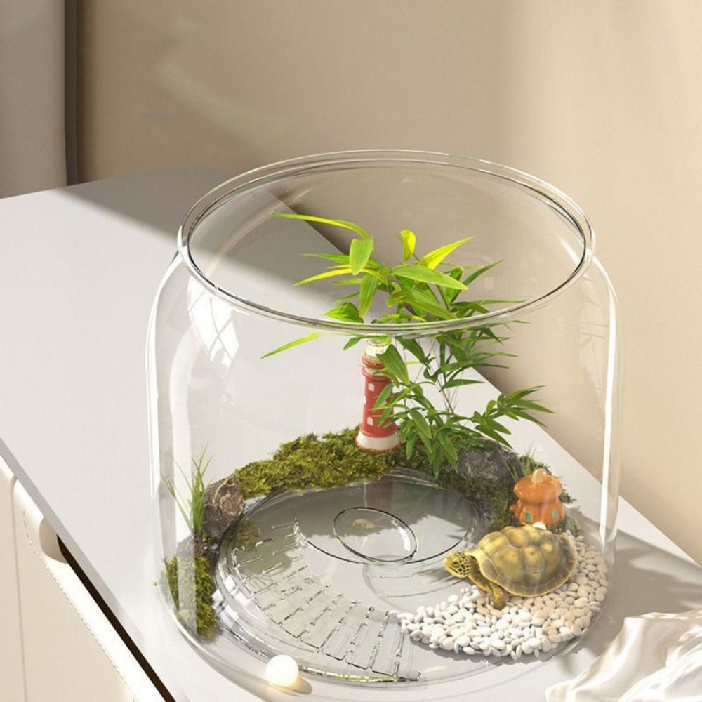 Acquario Trasparente Rotondo A - Live Fish Aquarium recensione e prezzo