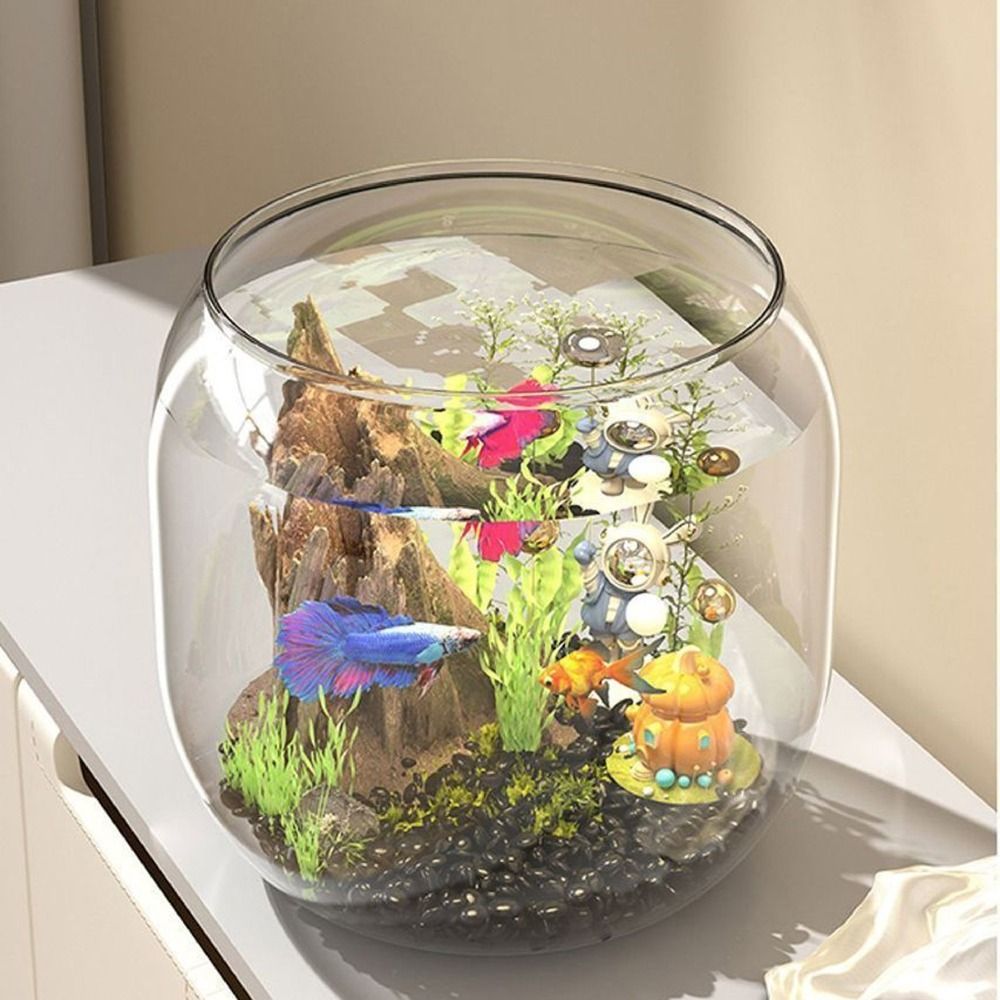 Acquario Trasparente Rotondo A - Live Fish Aquarium recensione e prezzo