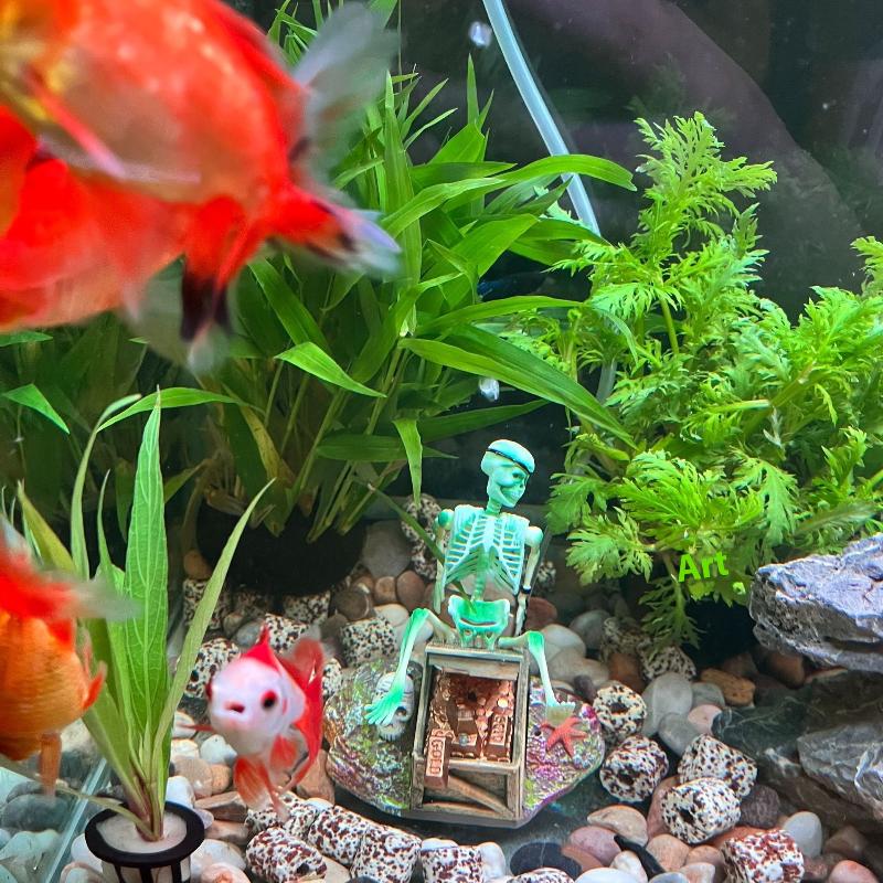 Acquario Aerobico Paesaggio Bu - Aquarium Fish Cartoon recensione e prezzo