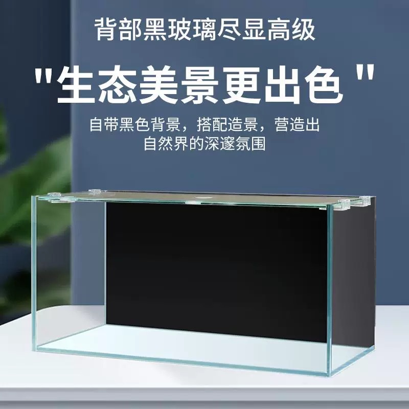Acquario da ufficio da tavolo  - Aquarium Fish In Bowl recensione e prezzo