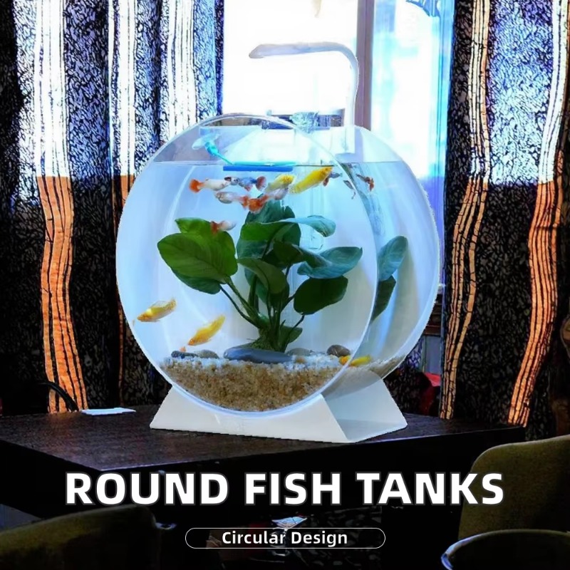 Vendita calda Acquari da tavol - Aquarium Fish Sale recensione e prezzo