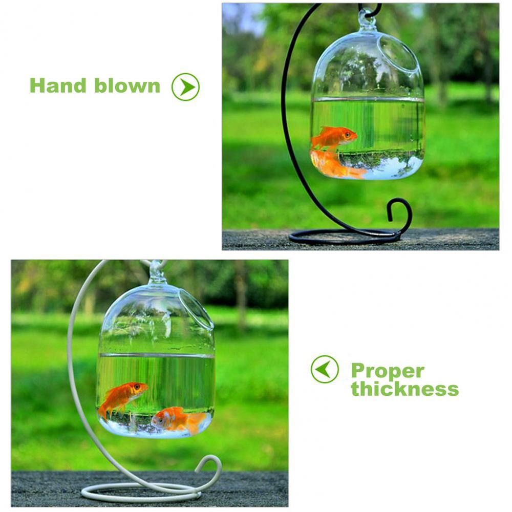 Decorazione da parete per acqu - Aquarium Fish In Bowl recensione e prezzo