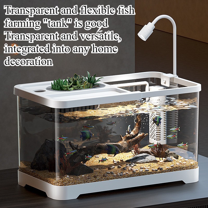Acquario domestico da soggiorn - Live Fish Aquarium recensione e prezzo
