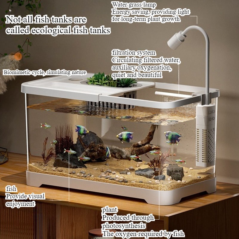 Acquario domestico da soggiorn - Live Fish Aquarium recensione e prezzo