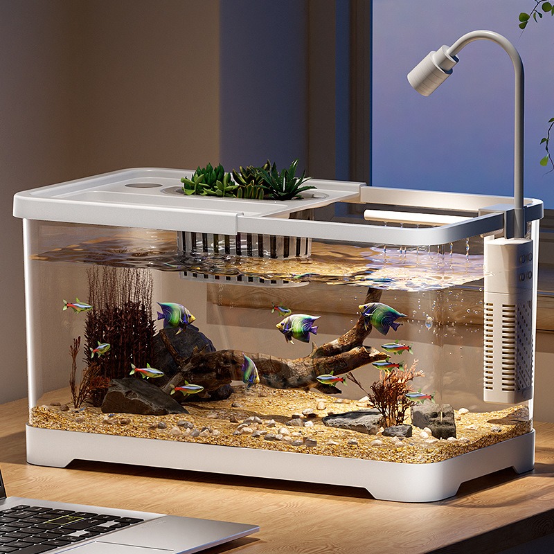 Acquario domestico da soggiorn - Live Fish Aquarium recensione e prezzo