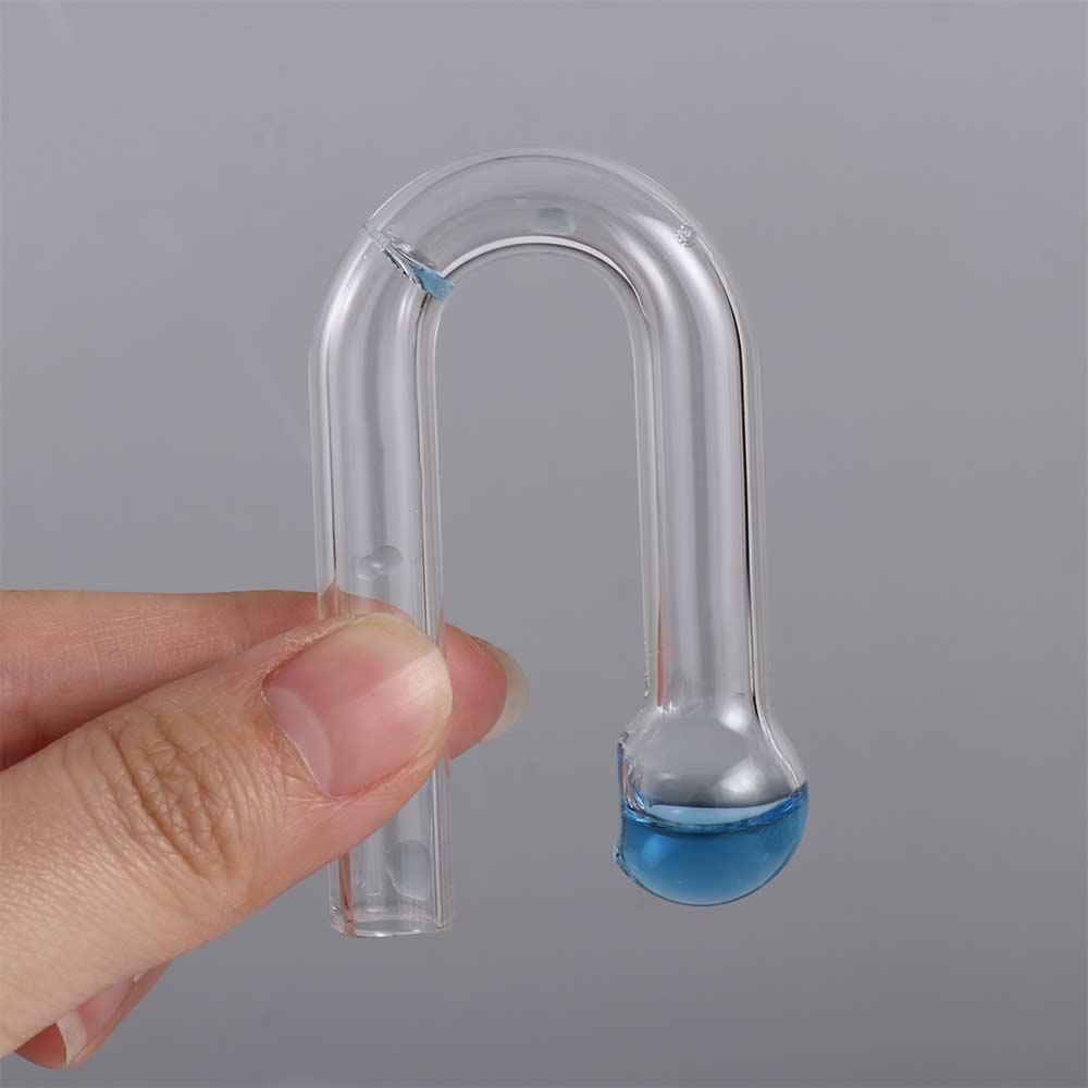 Kit per Acquario con Piante Ac - Aquarium Fish Quarantine recensione e prezzo