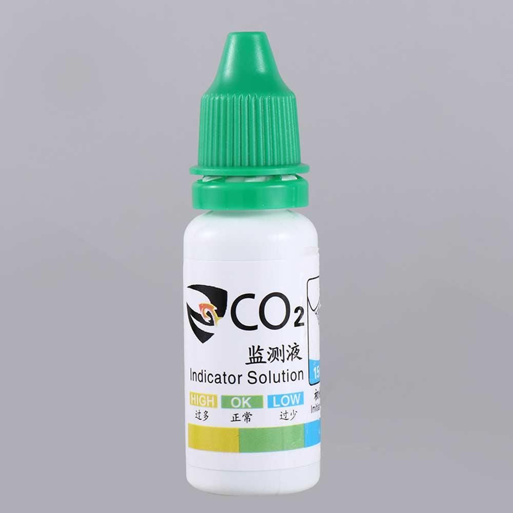 Kit per Acquario con Piante Ac - Aquarium Fish Quarantine recensione e prezzo