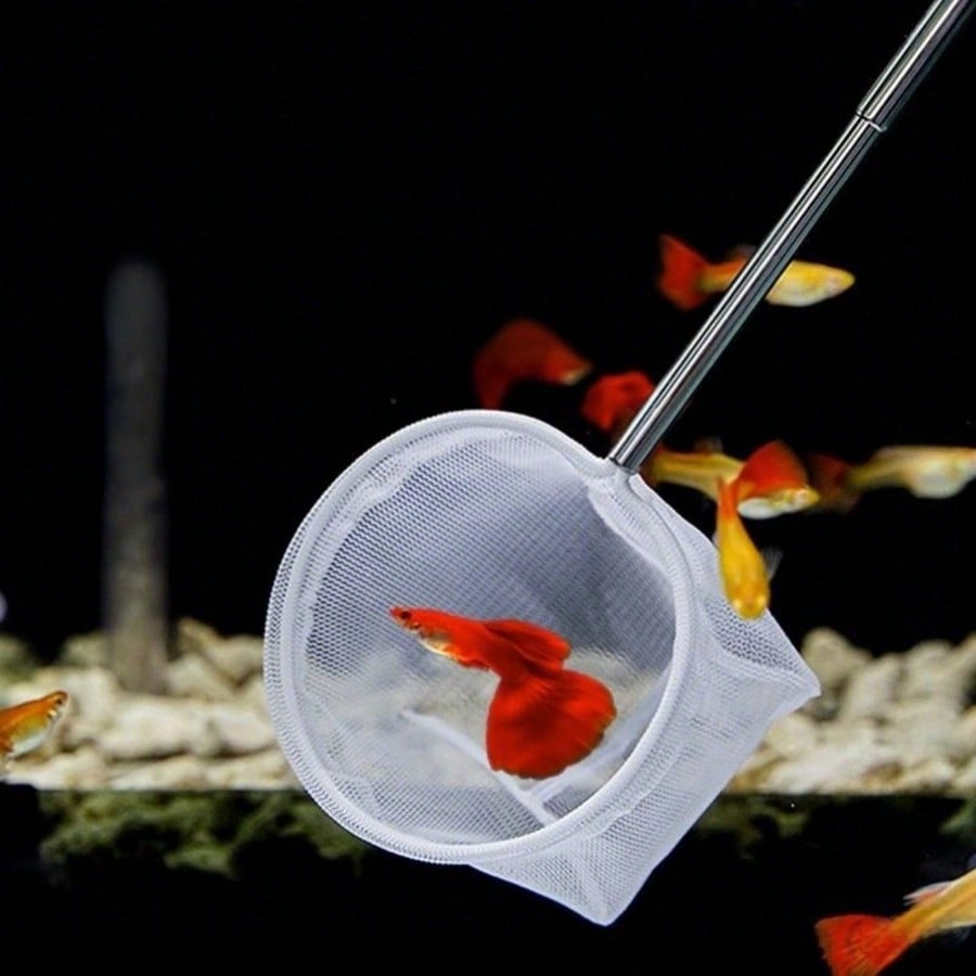 Rete per Pesci da Acquario - R - Aquarium Fish Net recensione e prezzo