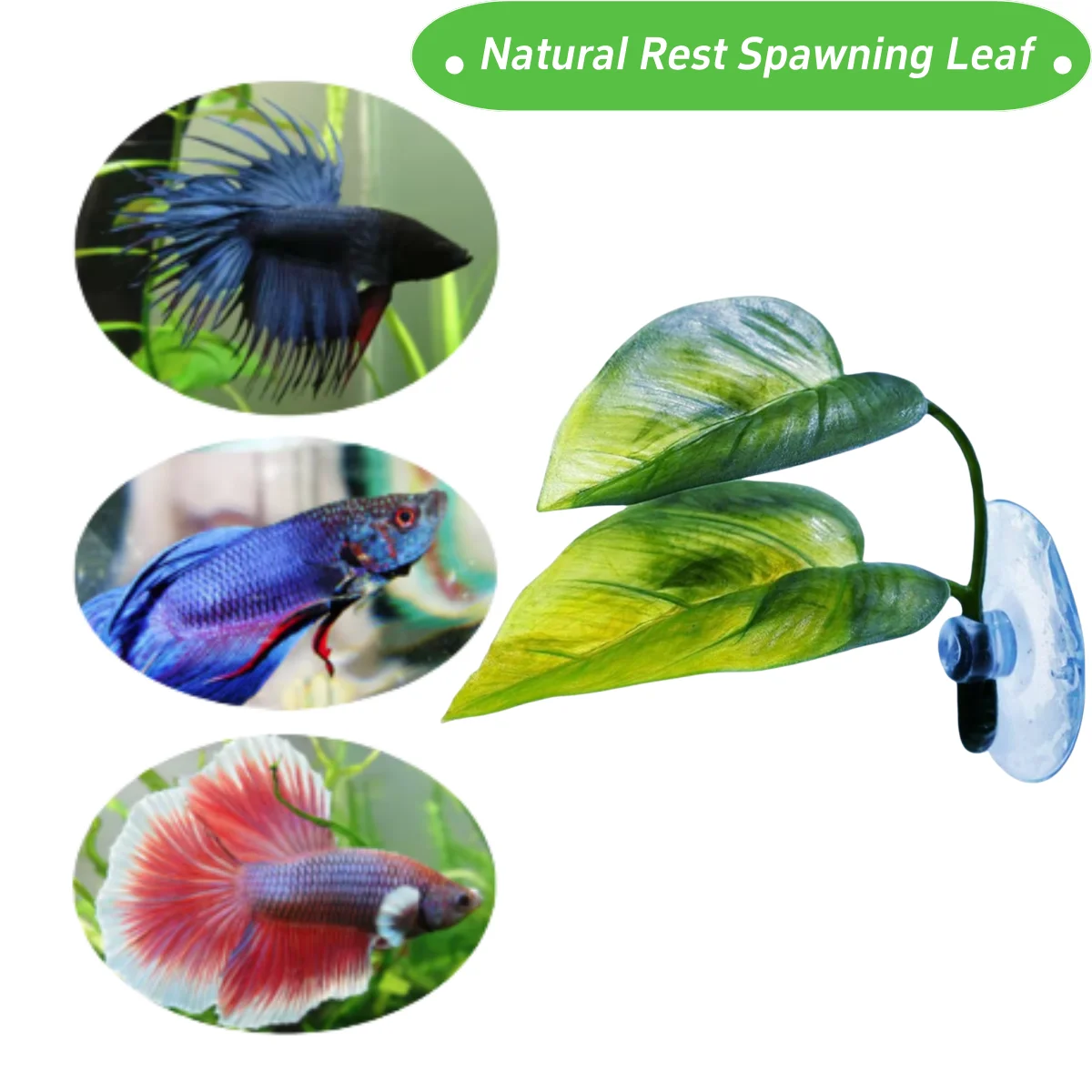 Animali domestici Acquario Dec - Aquarium Fish Games recensione e prezzo