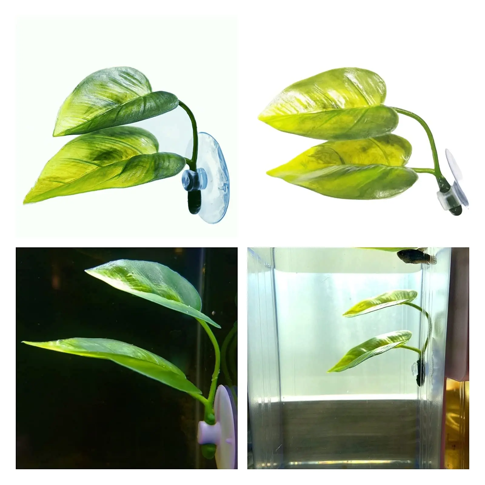 Animali domestici Acquario Dec - Aquarium Fish Games recensione e prezzo