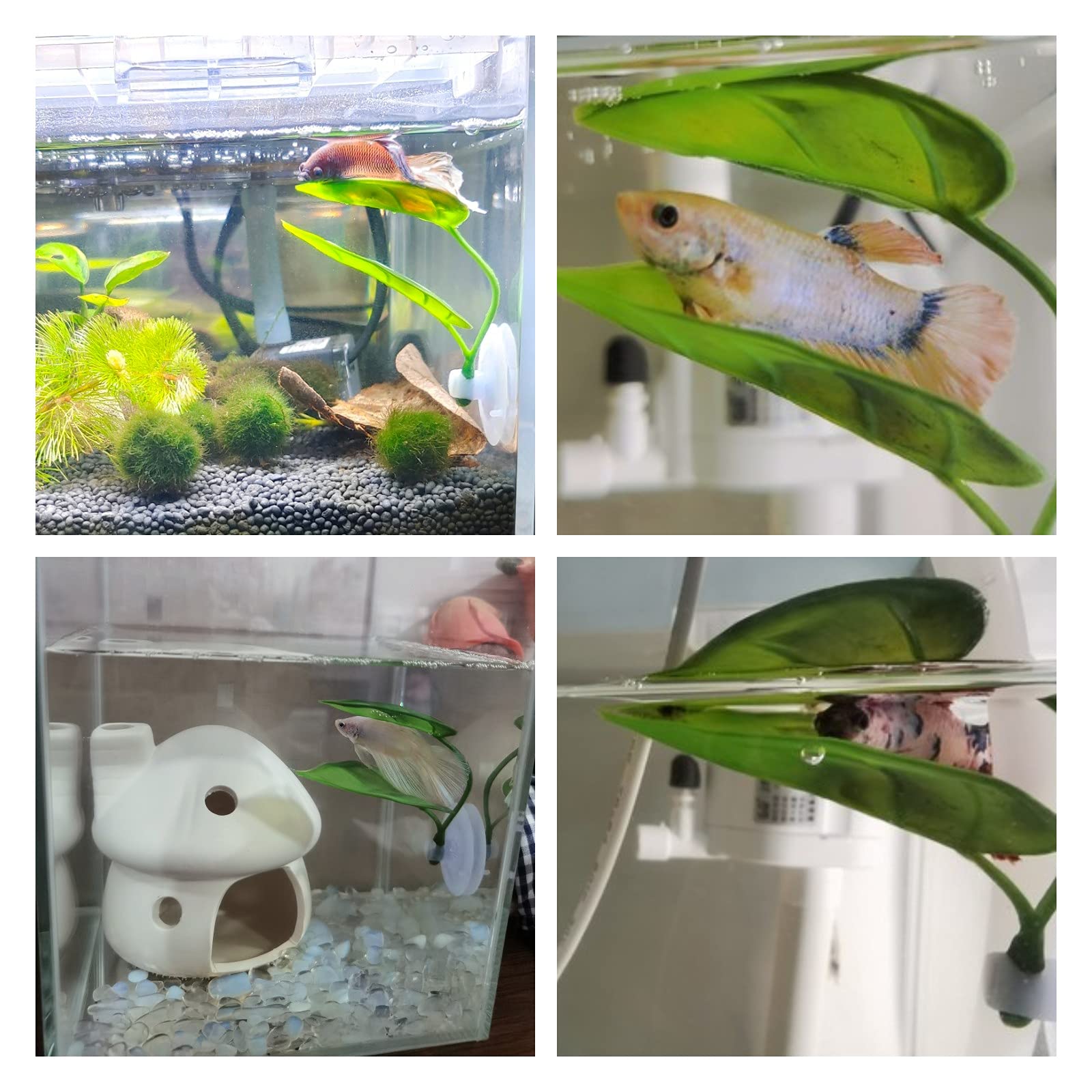 Animali domestici Acquario Dec - Aquarium Fish Games recensione e prezzo