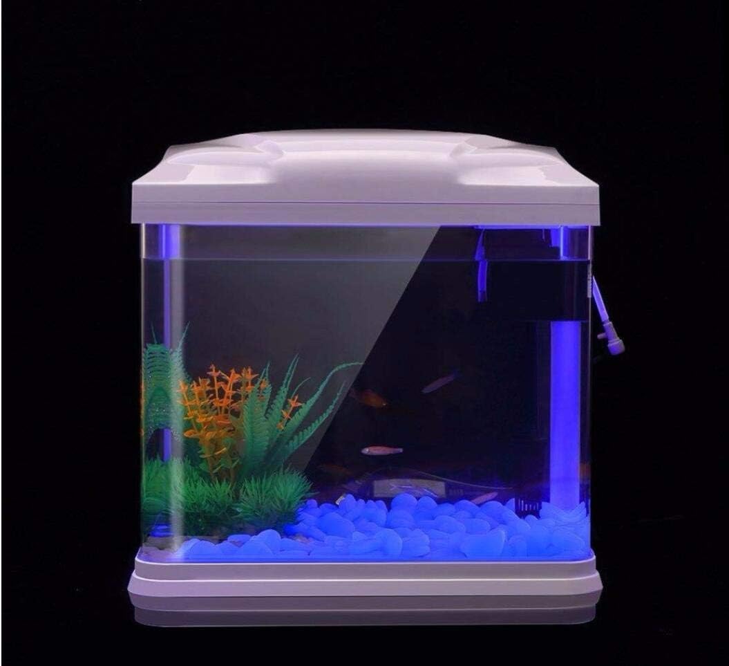 Rocce per acquari che si illum - Aquarium Fish Quarantine recensione e prezzo