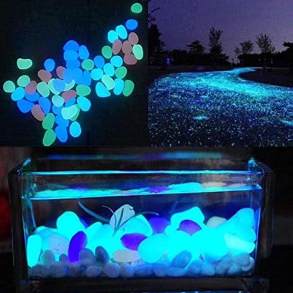 Rocce per acquari che si illum - Aquarium Fish Quarantine recensione e prezzo