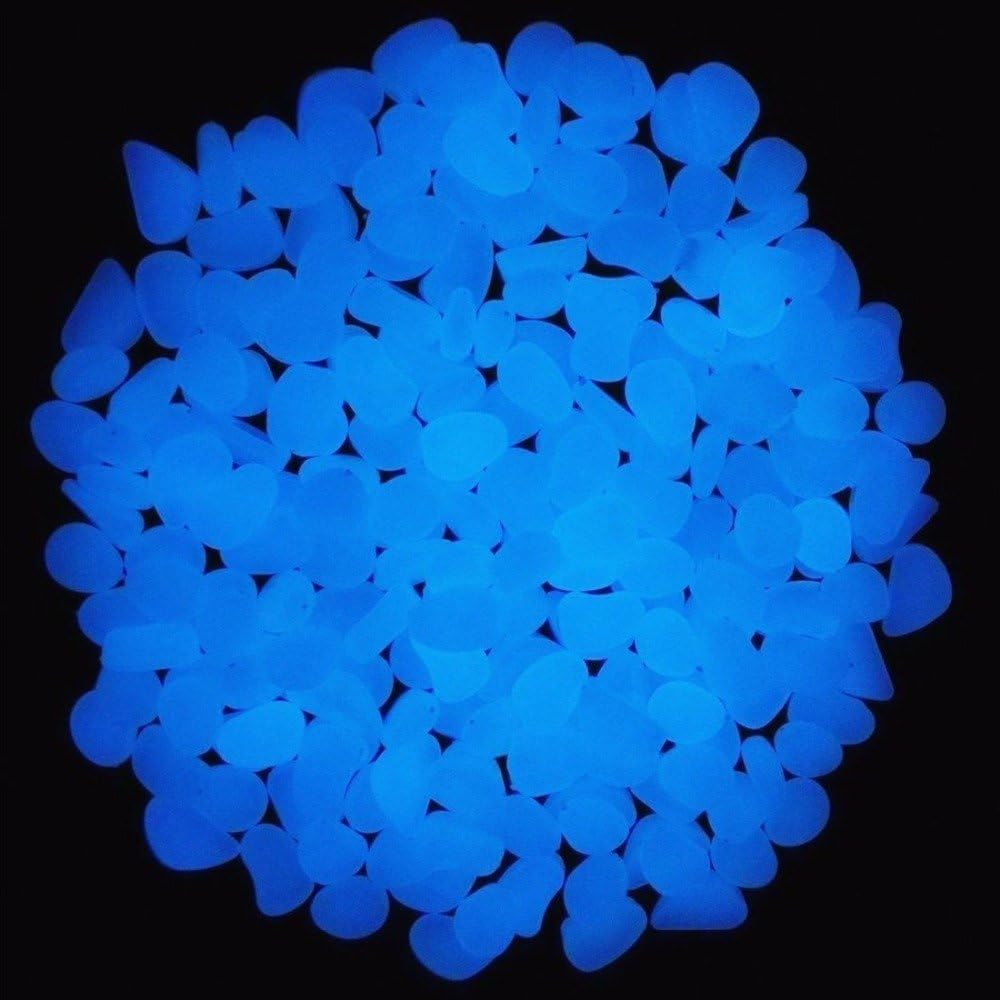 Rocce per acquari che si illum - Aquarium Fish Quarantine recensione e prezzo