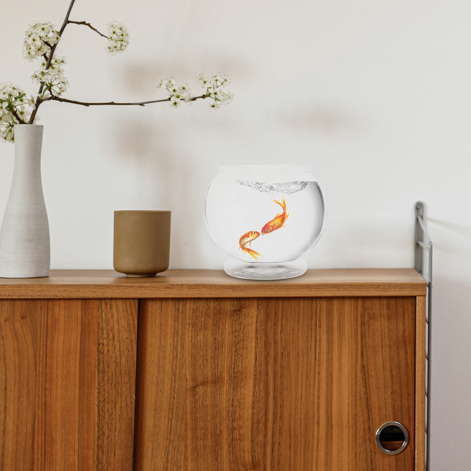 Acquario da tavolo in plastica - Aquarium Fish In Bowl recensione e prezzo