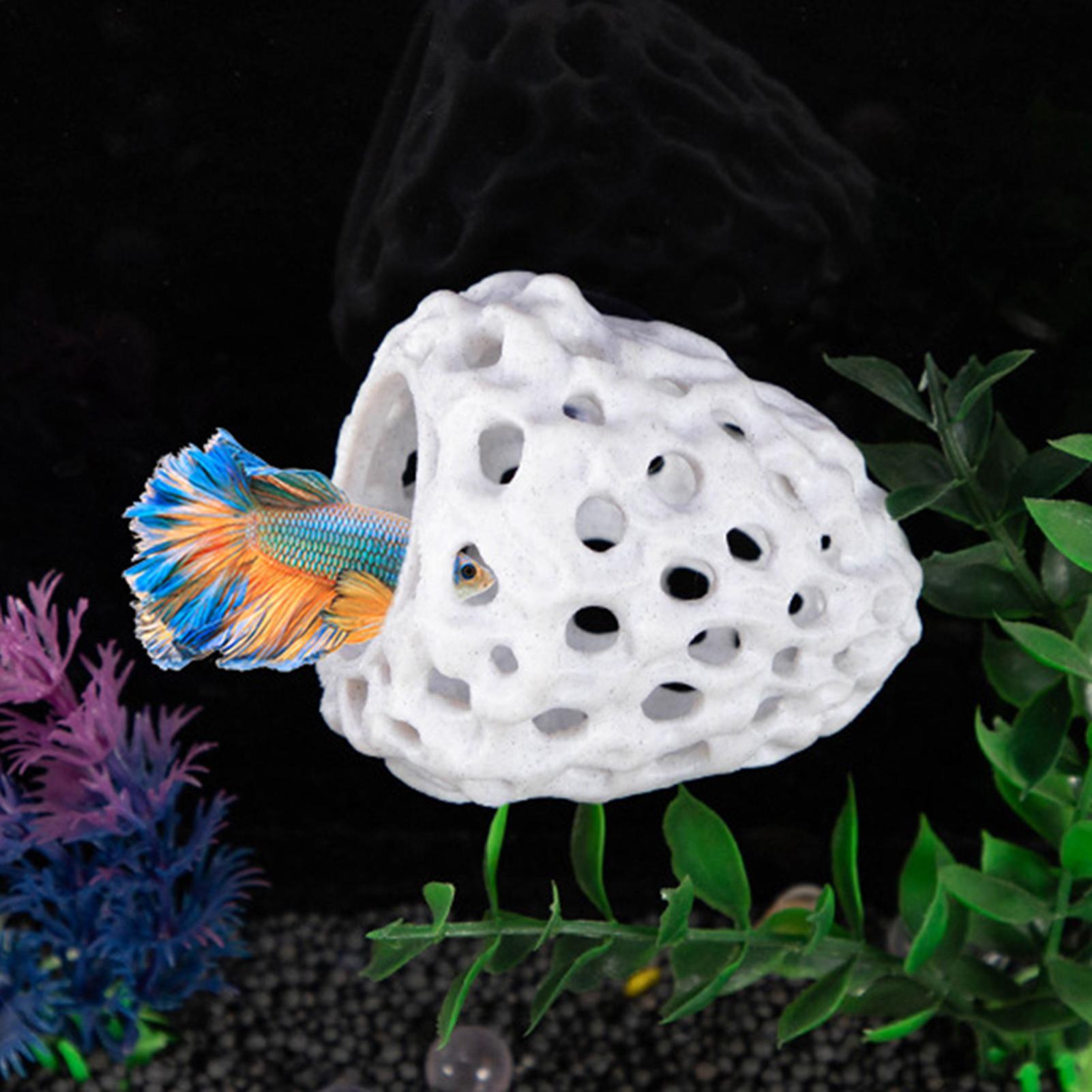 Acquario casa di gamberetti Gr - Aquarium Fish Games recensione e prezzo