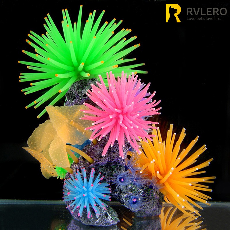 Simulazione luminosa Anemone d - Aquarium Fish Quarantine recensione e prezzo