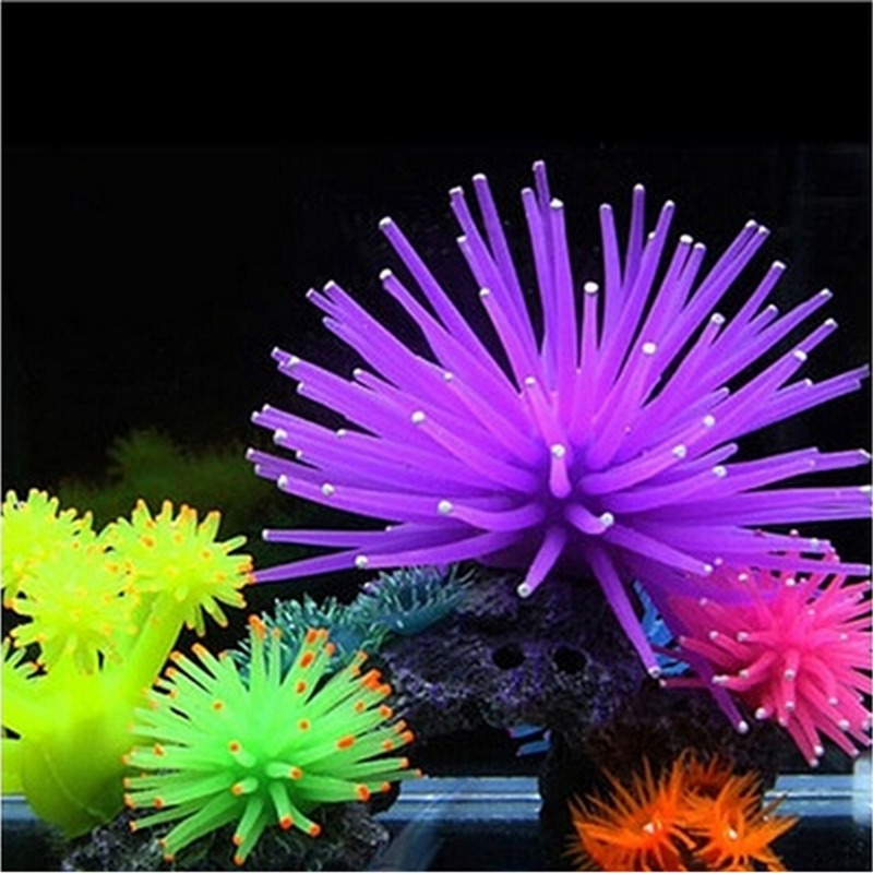 Simulazione luminosa Anemone d - Aquarium Fish Quarantine recensione e prezzo