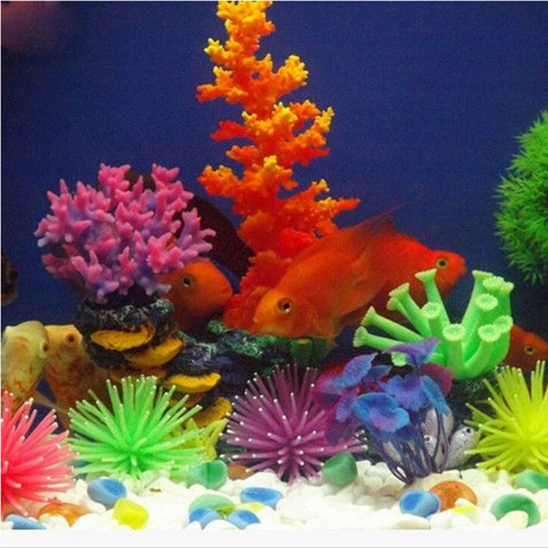 Simulazione luminosa Anemone d - Aquarium Fish Quarantine recensione e prezzo