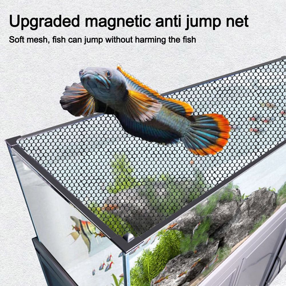 Coperchio Magnetico Robusto pe - Aquarium Fish Net recensione e prezzo