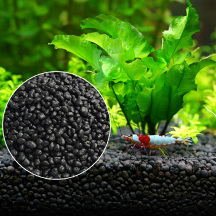 Acquario semi di piante terren - Aquarium Fish Accessories recensione e prezzo