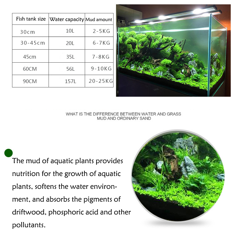 Acquario semi di piante terren - Aquarium Fish Accessories recensione e prezzo